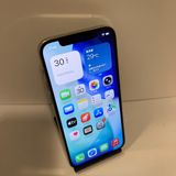 ��Х�����iPhone 12Pro 256GB SIM�ե꡼ �����񥹥ԡ���ȯ����0365
