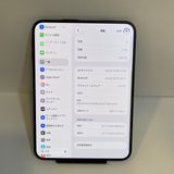�ۤ�̤���ѡ�iPhone Duo 2TB ����APPLE�� ����100%��������ȯ����5509