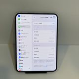 �ۤ�̤���ѡ�iPhone Duo 2TB ����APPLE�� ����100%��������ȯ����5509