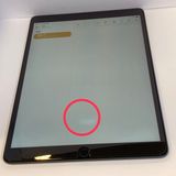iPad Air 3  Cellular�� AU�� SIM�ե꡼ ����100���������������SALE