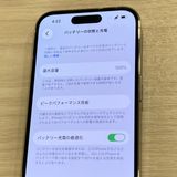 ����100���������ʡ�iPhone14Pro ��Ƚ��SIM�ե꡼����