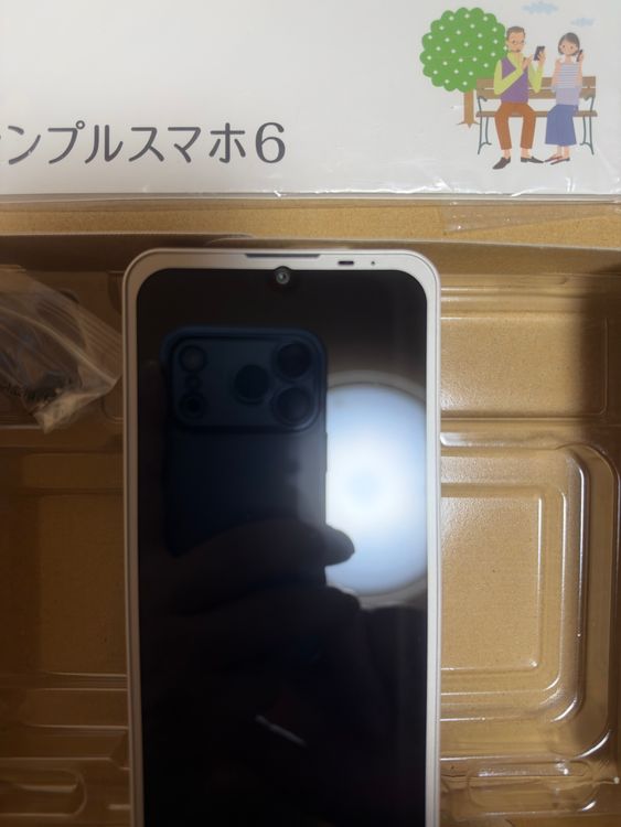 ����ץ륹�ޥ�6